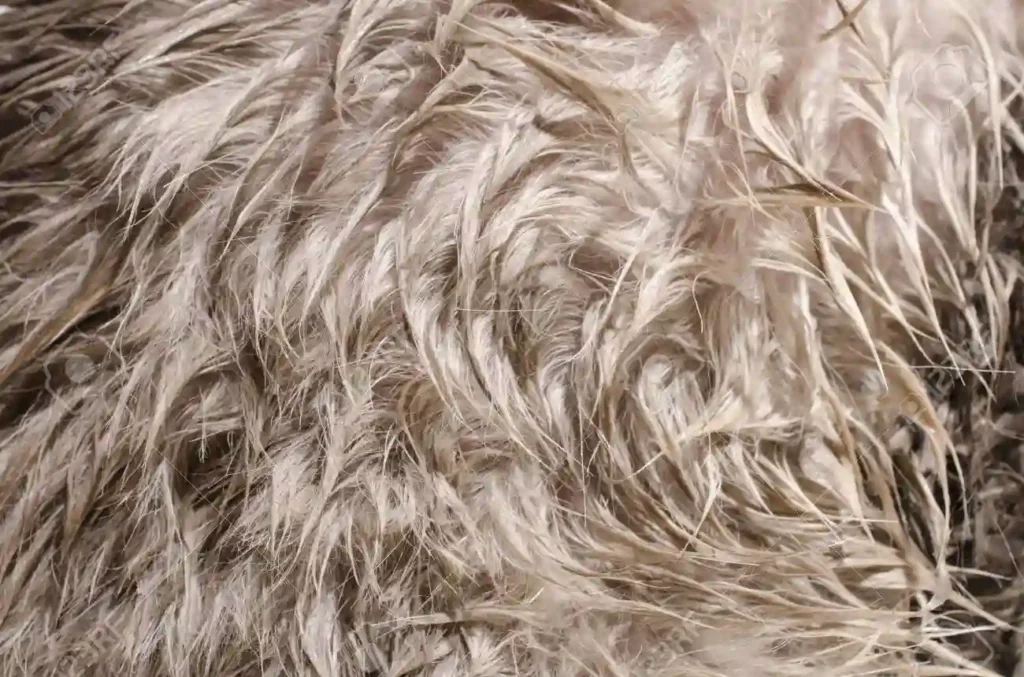 furry rug