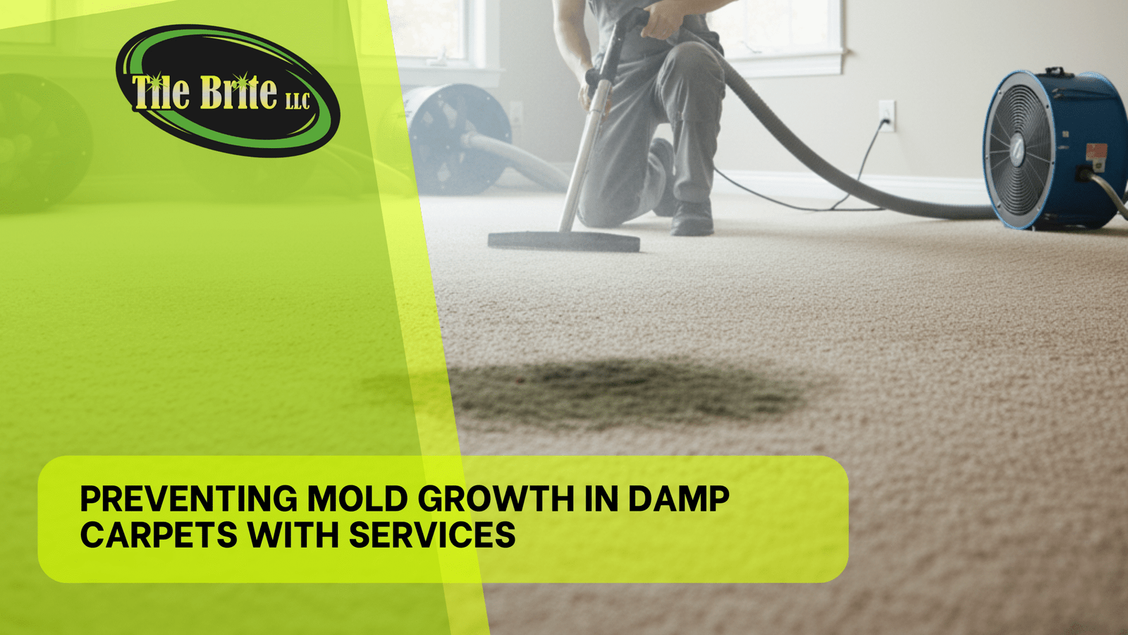 Preventing Mold Growth in Damp Carpets with Services