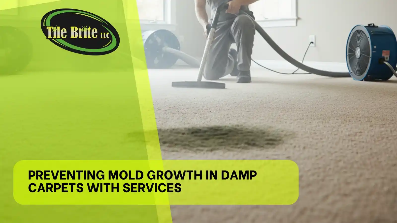 Preventing Mold Growth in Damp Carpets with Services