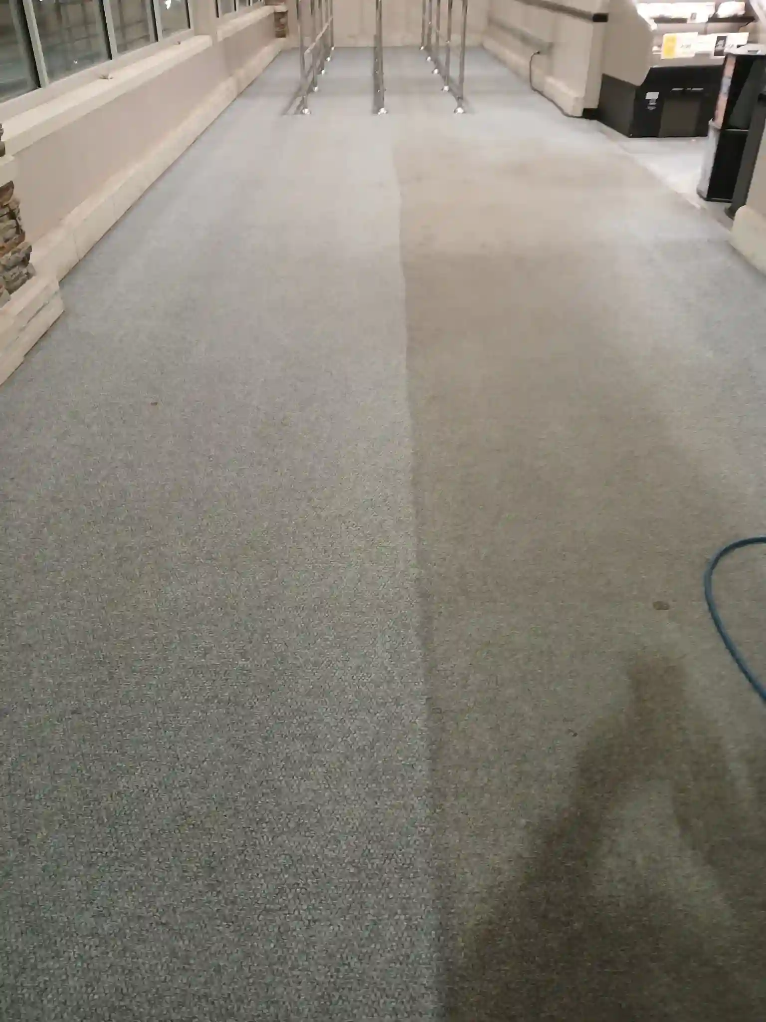 comparison of a cleaned version of carpet