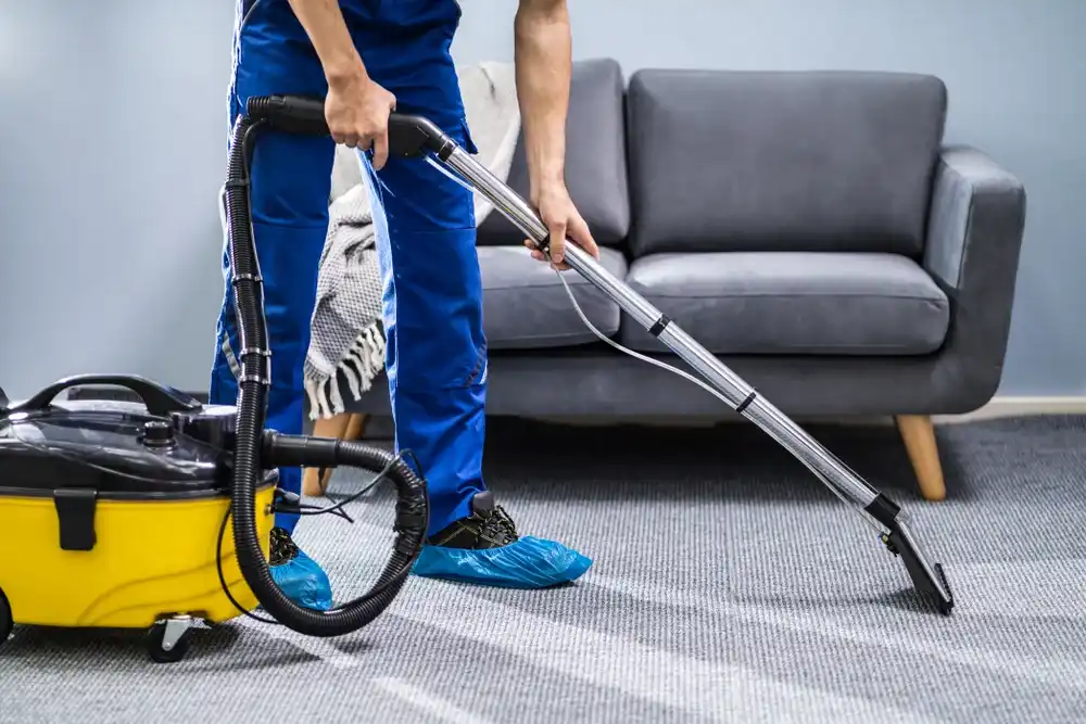 professional carpet cleaning in east haven CT