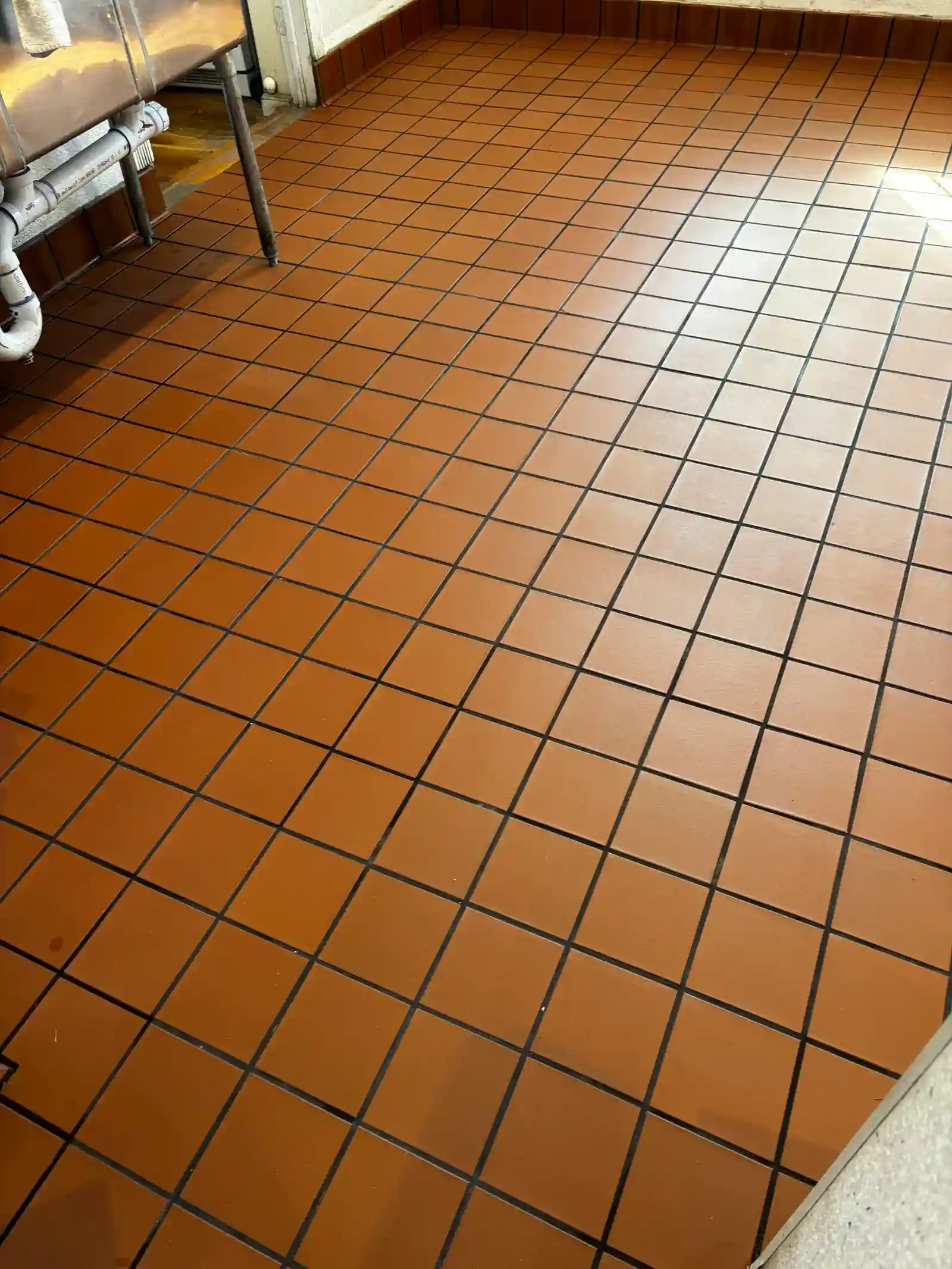 professionally-cleaned-tiles professionally cleaned tiles