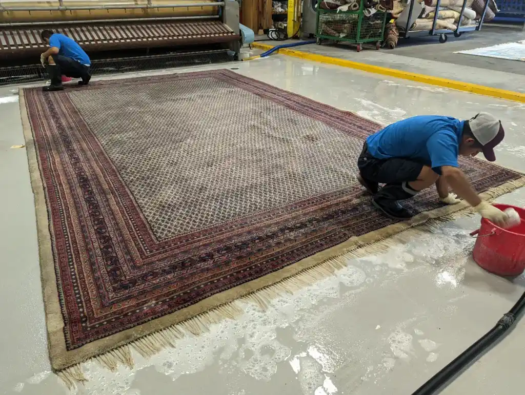 professional rug cleaning service