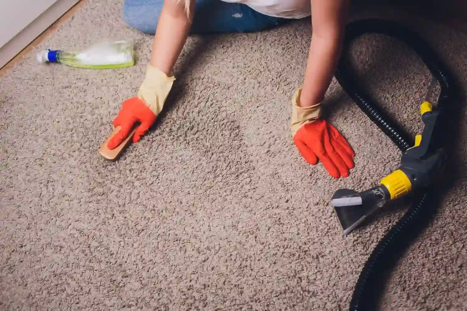 woman protective glove cleaning carpet with brush