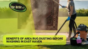 Area Rug Dusting Before Washing in East Haven