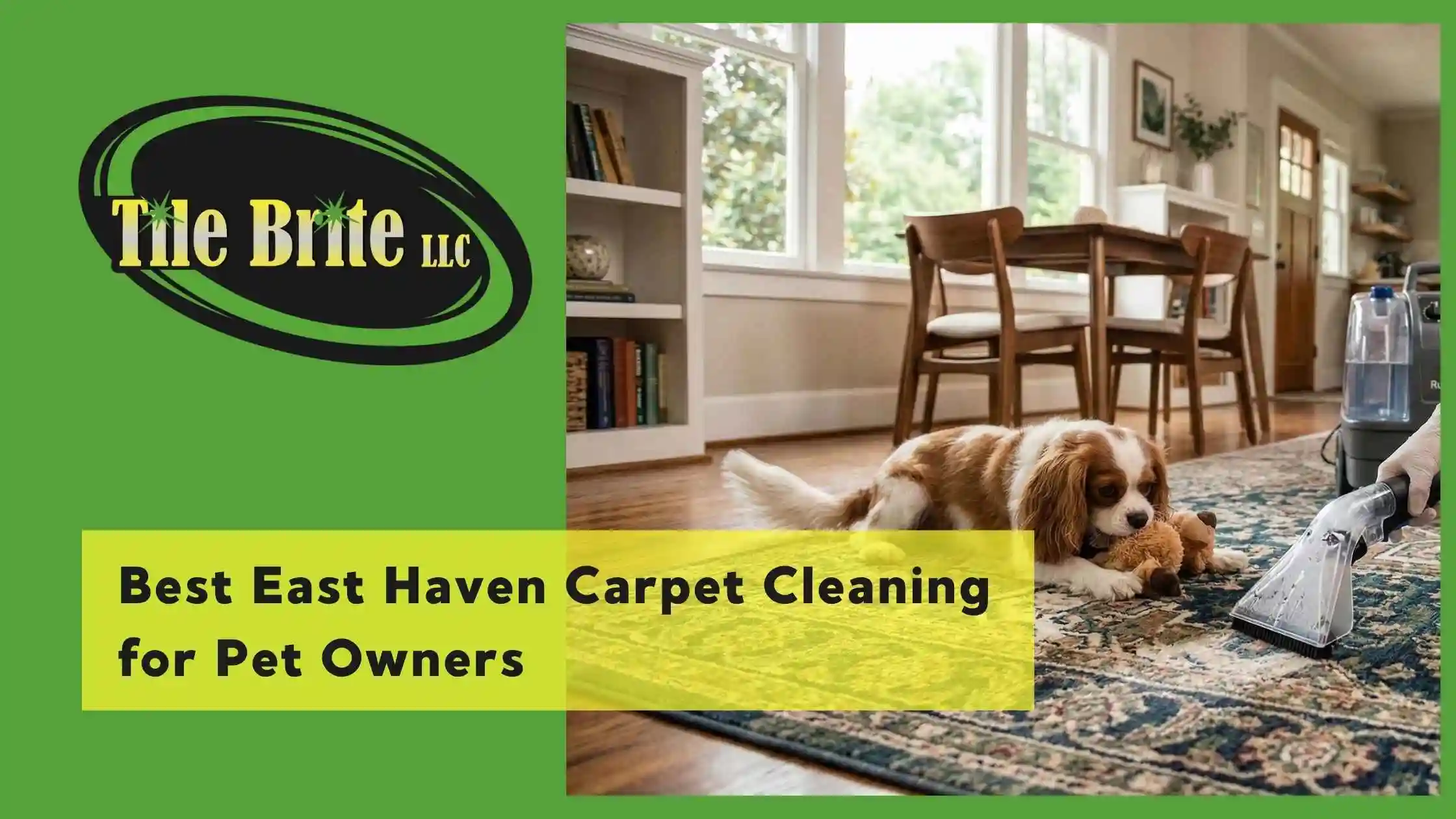 Best East Haven Carpet Cleaning for Pet Owners