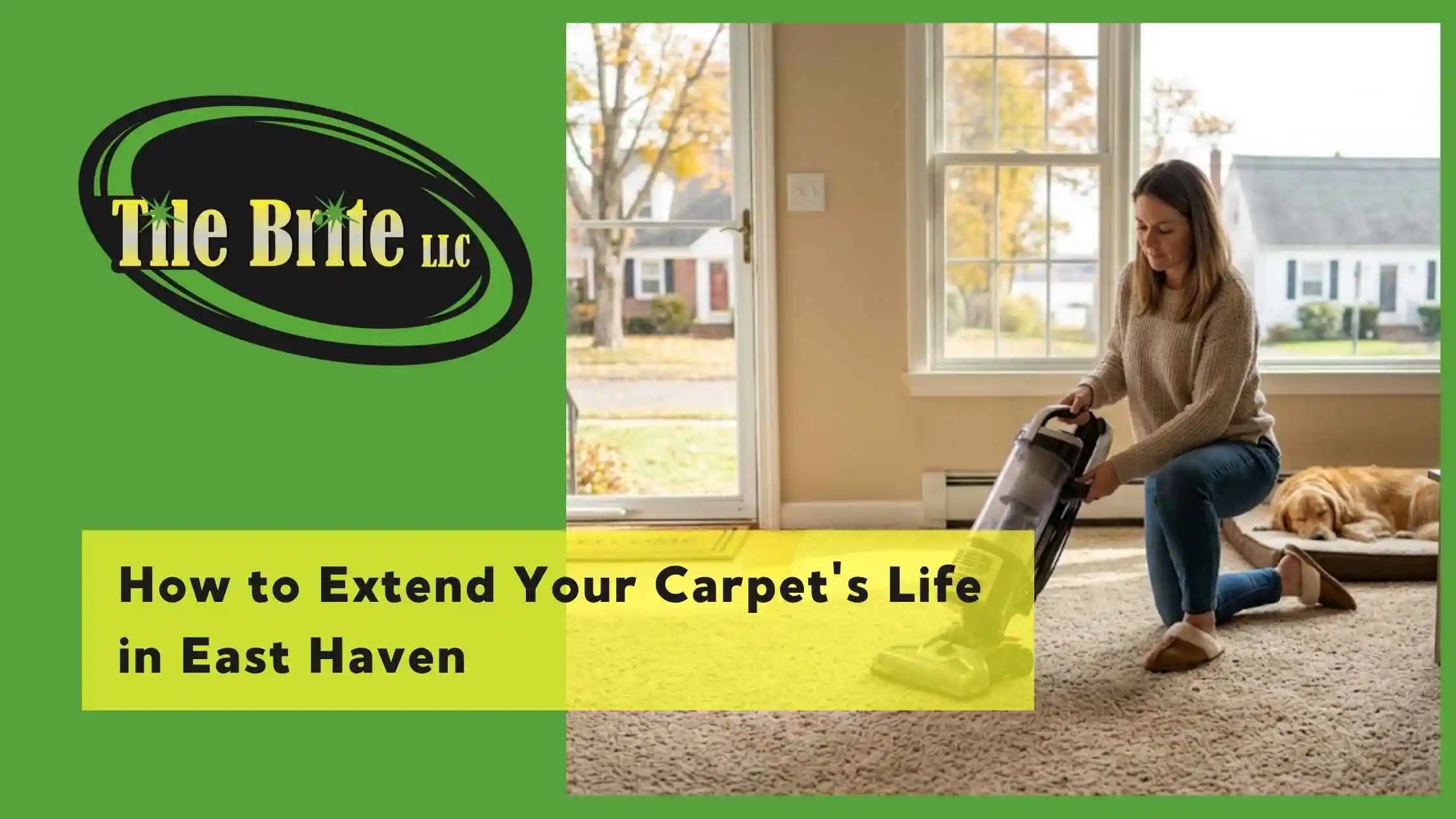 Extend Your Carpet’s Life in East Haven