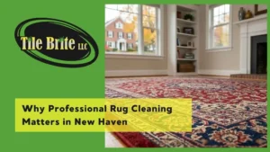 Why Professional Rug Cleaning Matters in New Haven