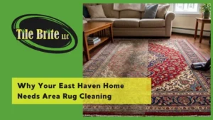 Why Your East Haven Home Needs Area Rug Cleaning